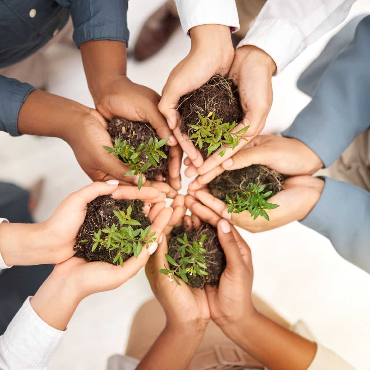 Teamwork environment and plant with hands of busi 2023 03 01 20 57 54 utc